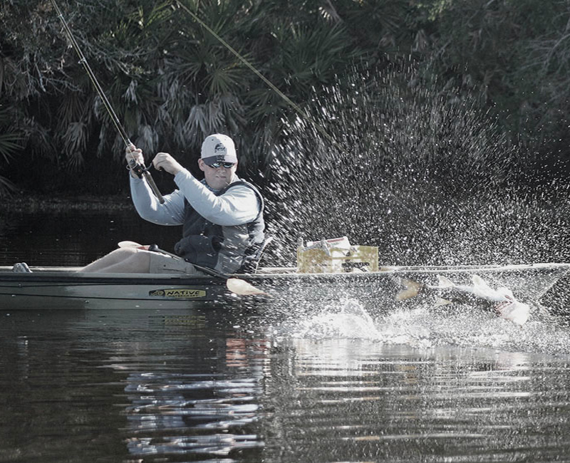 Divisione trecciati per pesca sportiva
