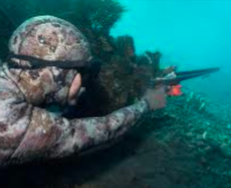 Divisione trecce per pesca subacquea